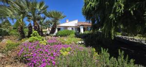 Villas Villa de charme, vue sur mer : photos des chambres