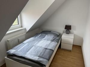 Comfortable apartment in Coswig