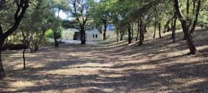 Villas Le Petit Nice : photos des chambres