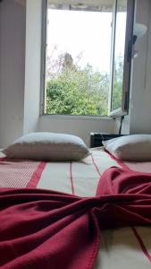 Maisons de vacances Spacious house with garden in Ollioules : photos des chambres