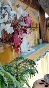 Maisons de vacances Spacious house with garden in Ollioules : photos des chambres