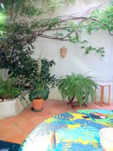 Maisons de vacances Spacious house with garden in Ollioules : photos des chambres