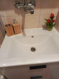 Apartament Komandor
