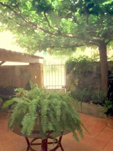 Maisons de vacances Spacious house with garden in Ollioules : photos des chambres