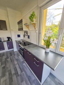 Appartements Le Cosy du Lac : photos des chambres
