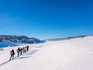 Appartements Gite Le Passe Montagne 10 personnes : photos des chambres