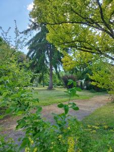 Appartements beausejour : photos des chambres