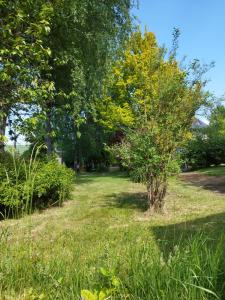 Appartements beausejour : photos des chambres