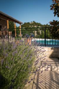 BACINELLA apartmani