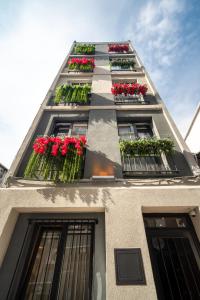 Pia Global - Nevizade