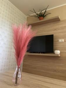 Apartmán pod lesom - oddych neďaleko Bojníc