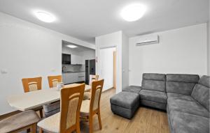 Amazing Apartment In Zaboric-Brodarica With Wifi