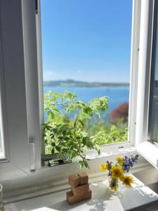 Exklusiver Seetraum am Attersee direkt am See