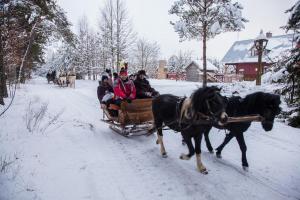 Šilainė Glamping & SPA, Padel court
