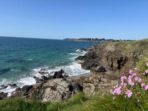 Appartements Le Belaven, Neuf, Cosy, Terrasse, jardin, Kerfany Plage, 1 a 6 pers : photos des chambres