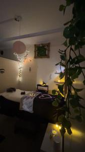 Appartements Evasion privee : photos des chambres