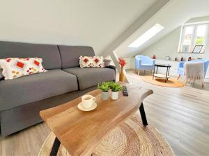 Appartements Studio spacieux et elegant au coeur de Bourbourg - gare a proximite : Appartement 1 Chambre