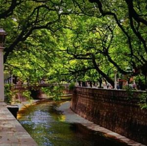 cordoba departamentos por dia cañada