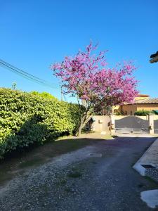 Appartements La Toscane : photos des chambres