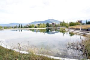 Cozy apartment to enjoyyear round