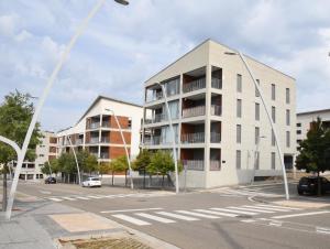 Cozy apartment to enjoyyear round