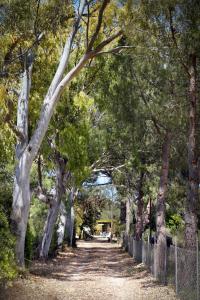 Sunset private Eco-Villa Can Vey