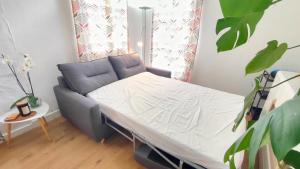 Appartements Studio Amboise, parking, terrasse et jardin : photos des chambres