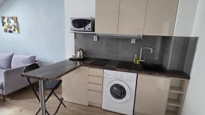 One-Bedroom Apartment (2 Adults) room in Apartment Residence - Free Parking