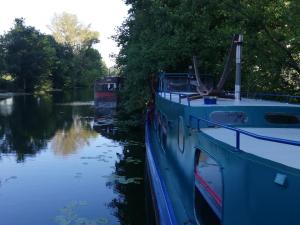 Bateaux Botel La Vecchia (LY1992) : photos des chambres