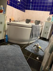 Maximum 4 szemely szamara!