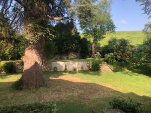 B&B / Chambres d'hotes Chambre - Maison de Maitre du XVIIe : photos des chambres