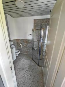 Little Bucharest downtown apartments Romana