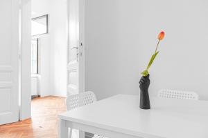 Joyful 4BR Apt @ superb location near AKH Hospital