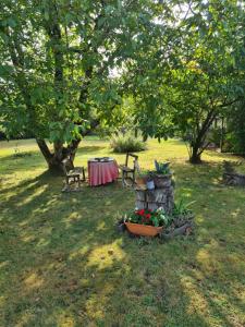 Sejours chez l'habitant Chambre Gauguin - B no B les closeries du Golfe : photos des chambres