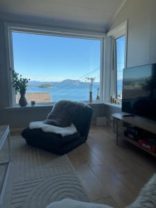 Koselig leilighet med utsikt, gåavstand fra sentrum