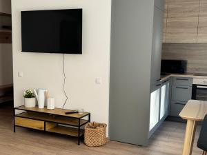 Center Studio type apartment