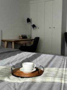 Center Studio type apartment