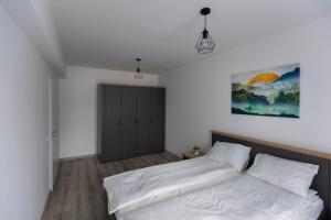 Dominic Apartments Sighisoara