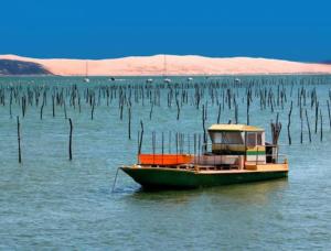 Charmant mobil home au Cap Ferret, idéalement situé dans un camping 4 étoiles Sibulu les Embruns à Claouey