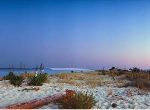 Charmant mobil home au Cap Ferret, idéalement situé dans un camping 4 étoiles Sibulu les Embruns à Claouey