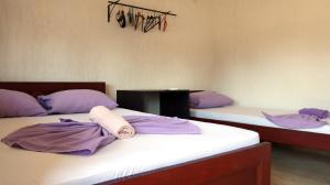 Elit Apartmani