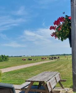 Recreatie aan de Vecht, Hooibergje 2, Weesp