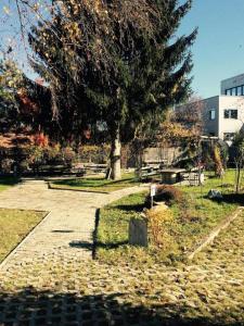 1 Zimmer Wohnung mit Balkon