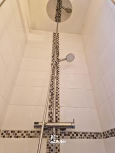 House for 10 people, Disneyland