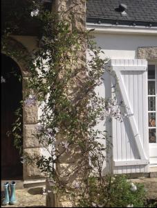 Appartements Le charme d-une maison de village : photos des chambres