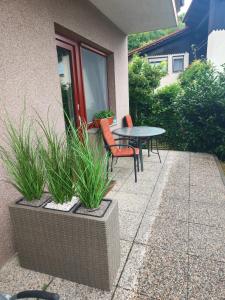 Studio za 2 Marko Rogaška Slatina 