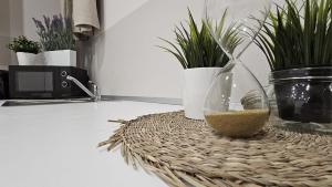 Milano Gambara M1 - Prato Fiorito, Appartament