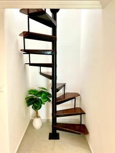 S18 Évasion Marine à La Marsa