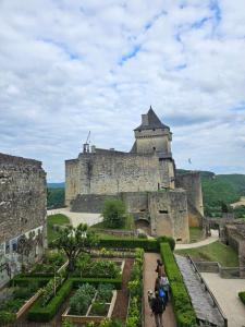 Appartements LA MAISON VALENTIN AU COEUR DE LA CITE MEDIEVALE : photos des chambres