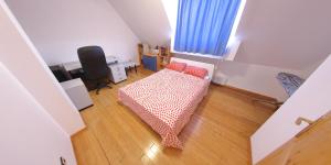 Spacious Penthouse Sofia